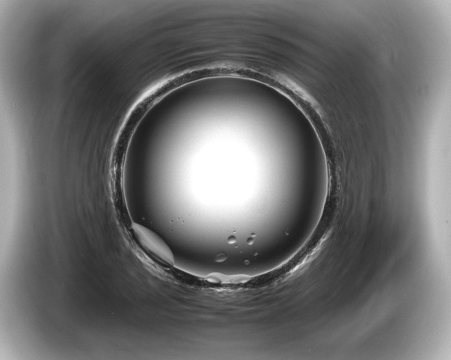 X0000085731029200703161001