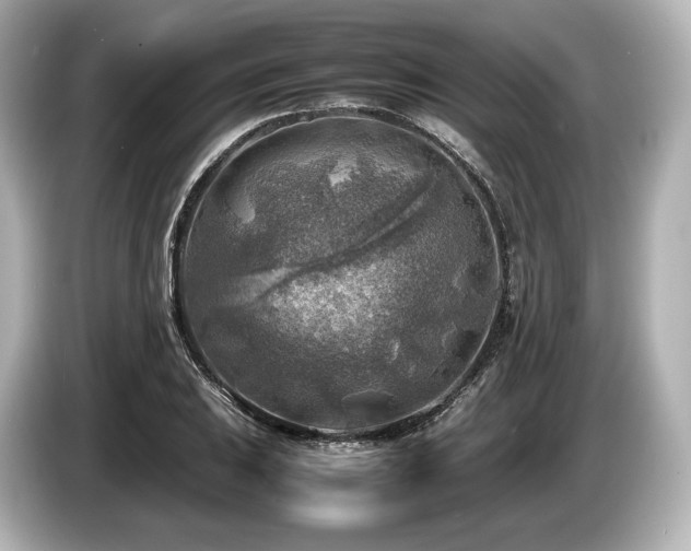 X0000085731031200703161001