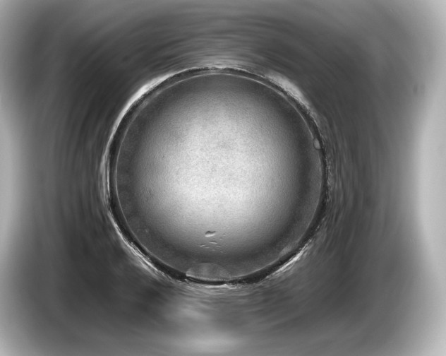 X0000085731032200703161001