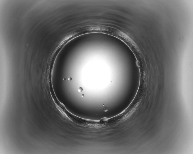 X0000085731033200703161001