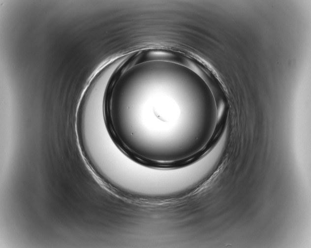 X0000085731034200703161001