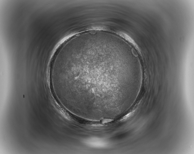 X0000085731035200703161001