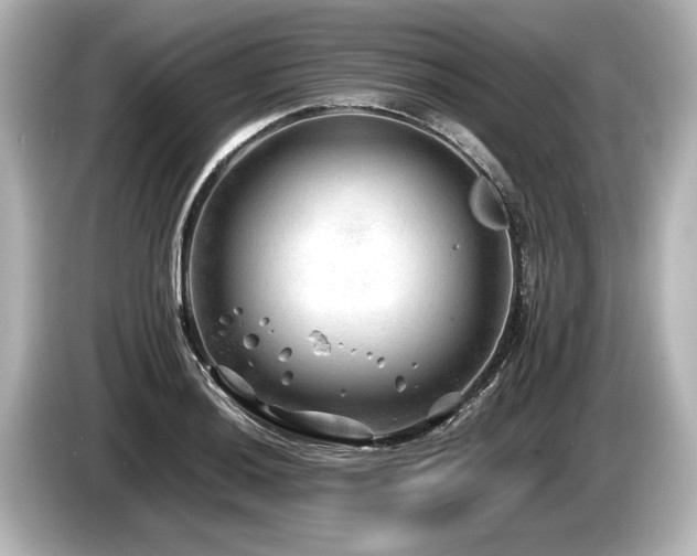 X0000085731036200703161001