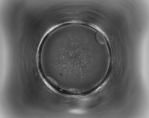 X0000085731037200703161001