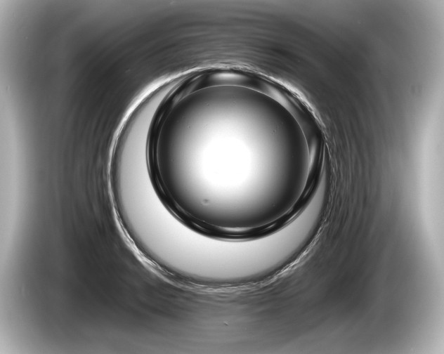 X0000085731038200703161001