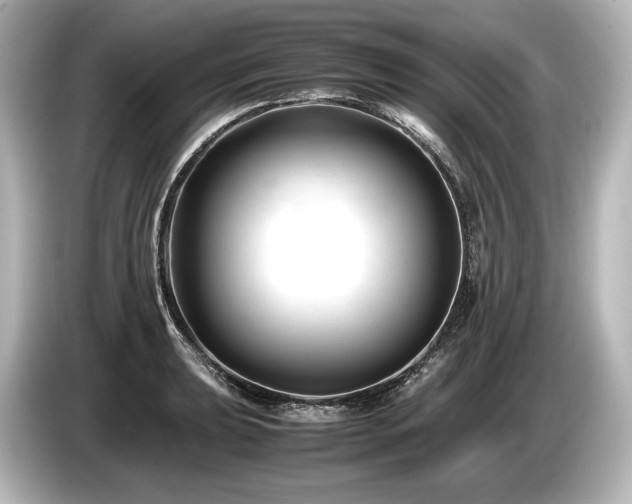 X0000085731039200703161001