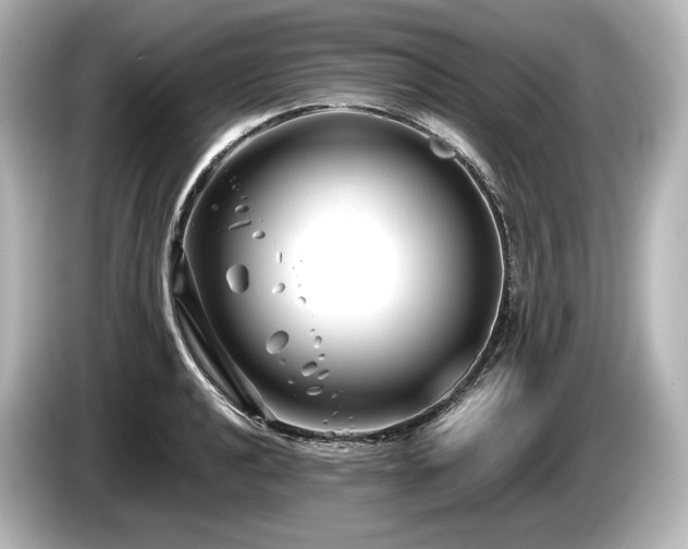 X0000085731040200703161001