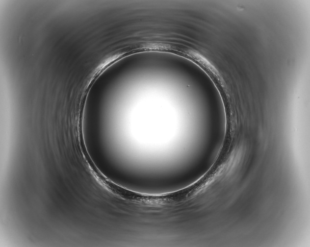 X0000085731041200703161001