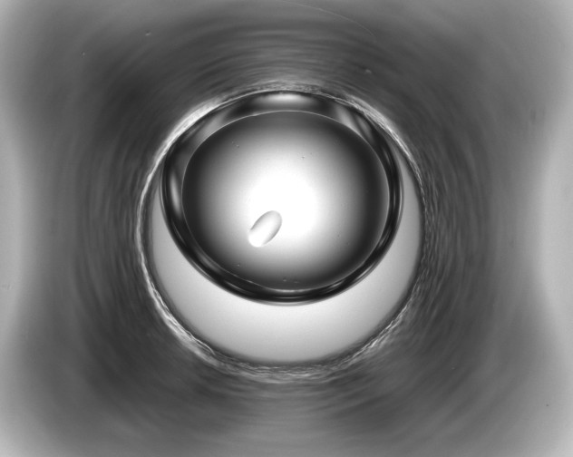 X0000085731042200703161001