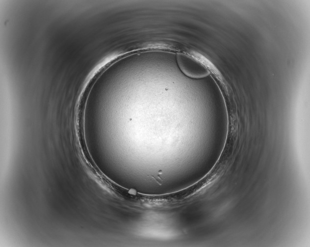 X0000085731043200703161001