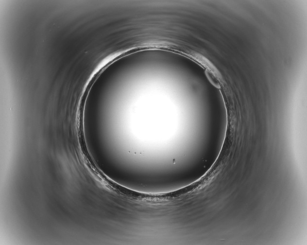 X0000085731044200703161001