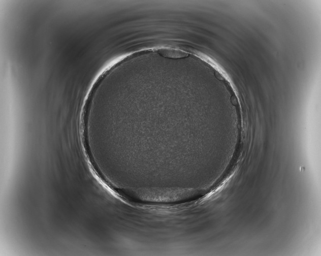 X0000085731045200703161001