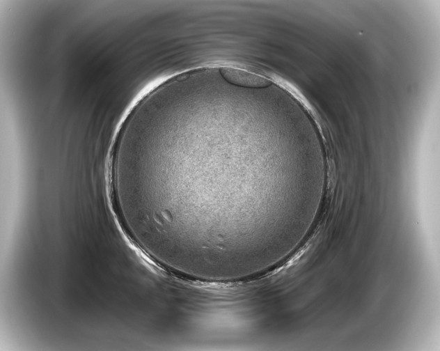 X0000085731048200703161001