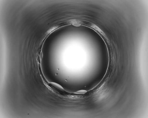 X0000085731049200703161001