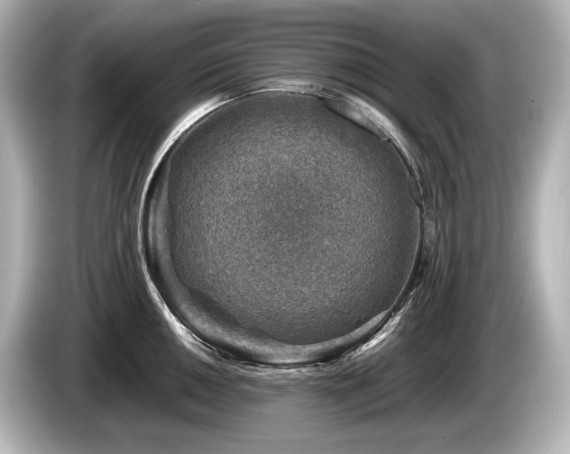 X0000085731050200703161001