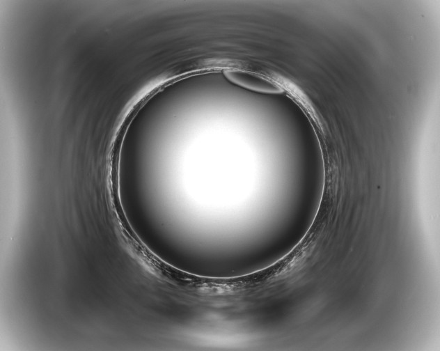 X0000085731051200703161001