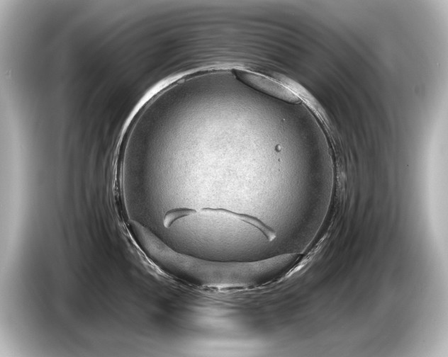 X0000085731052200703161001