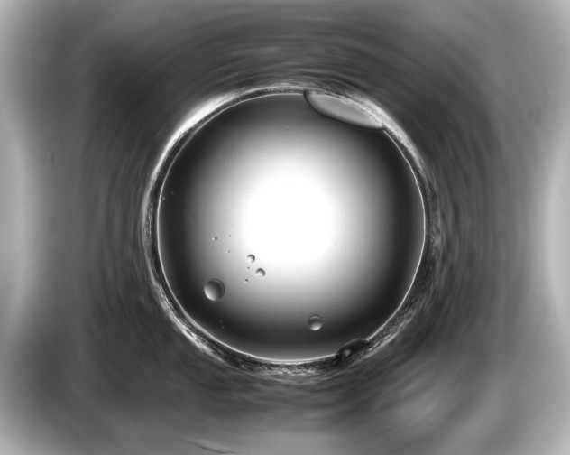 X0000085731053200703161001