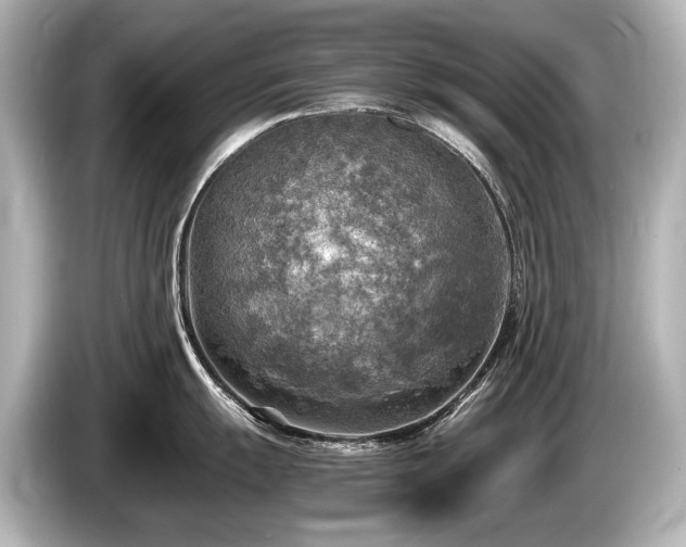 X0000085731055200703161001