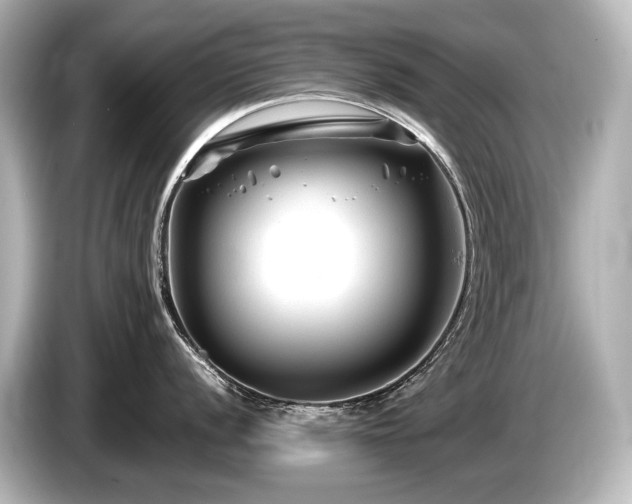 X0000085731056200703161001