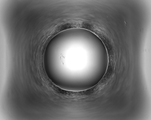 X0000085731057200703161000