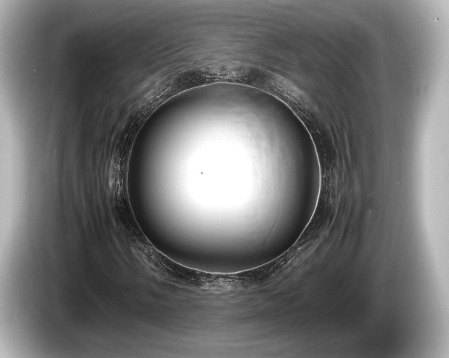 X0000085731058200703161000