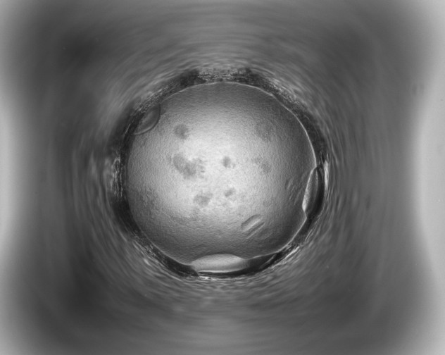 X0000085731059200703161000