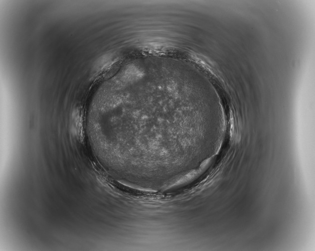 X0000085731060200703161000