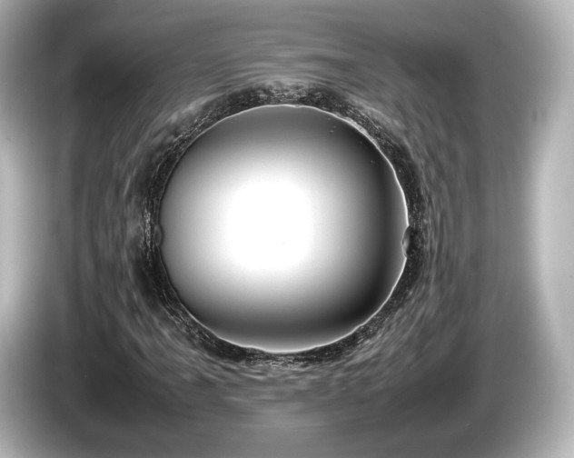 X0000085731061200703161000