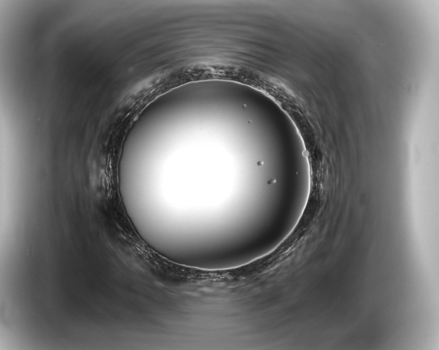 X0000085731062200703161000