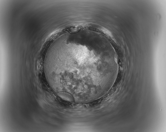 X0000085731063200703161000