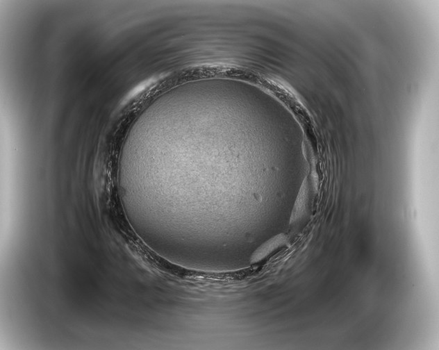 X0000085731064200703161000