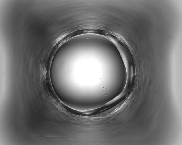 X0000085731065200703161000