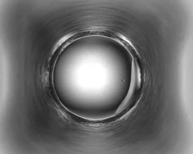 X0000085731066200703161000