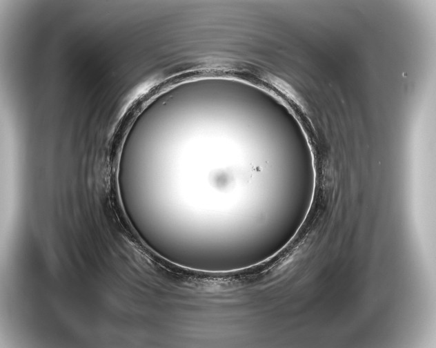 X0000085731067200703161000