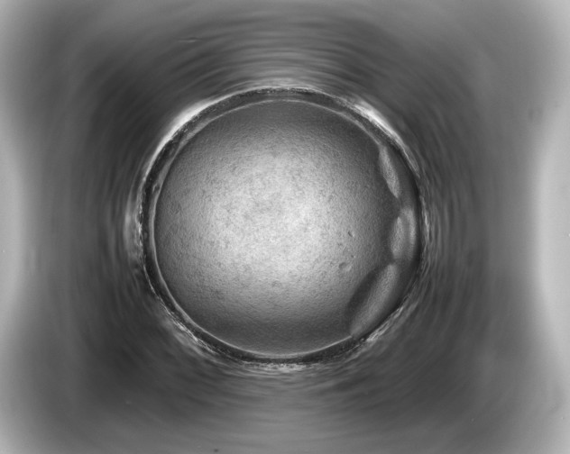 X0000085731068200703161000