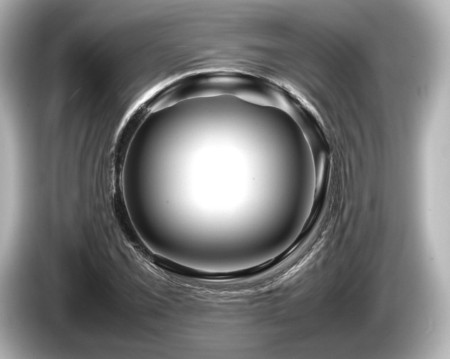 X0000085731069200703161000