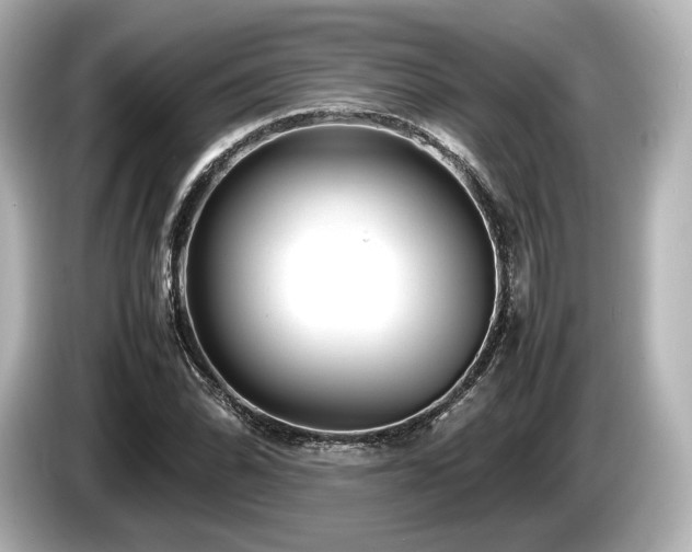 X0000085731070200703161000