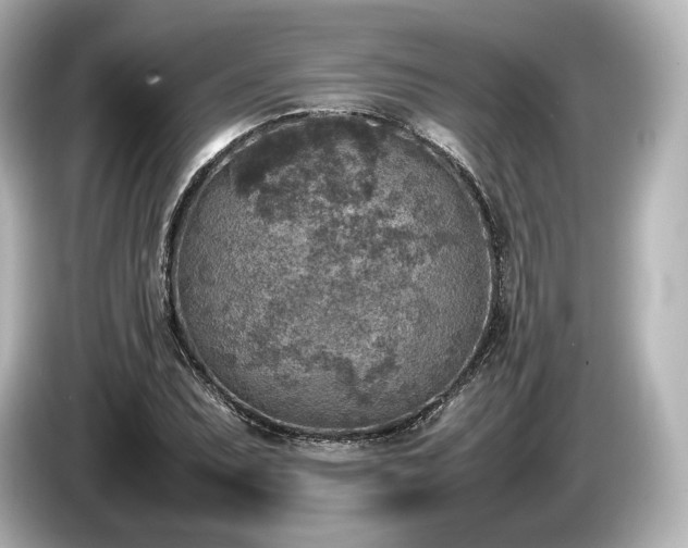 X0000085731071200703161000