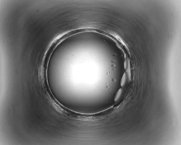 X0000085731072200703161000