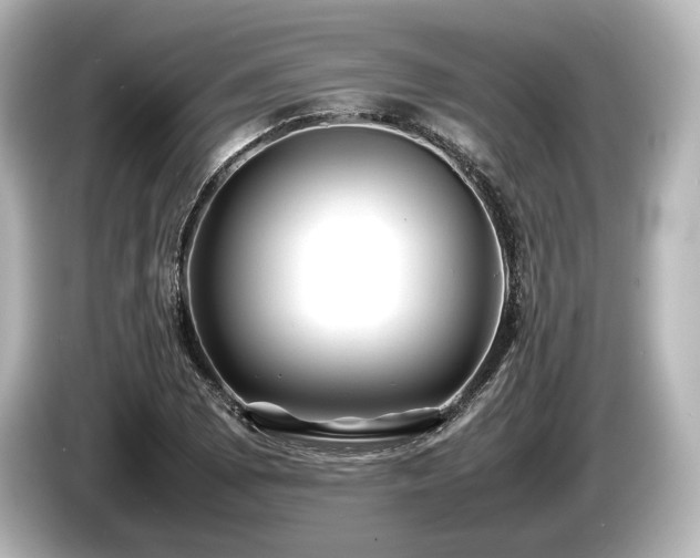 X0000085731073200703161000