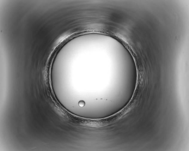 X0000085731074200703161000