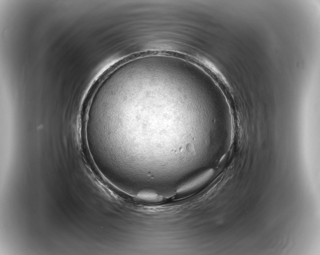 X0000085731076200703161000