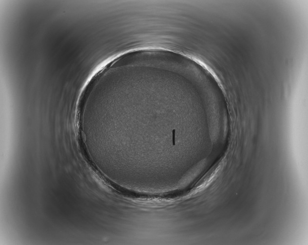 X0000085731077200703161000