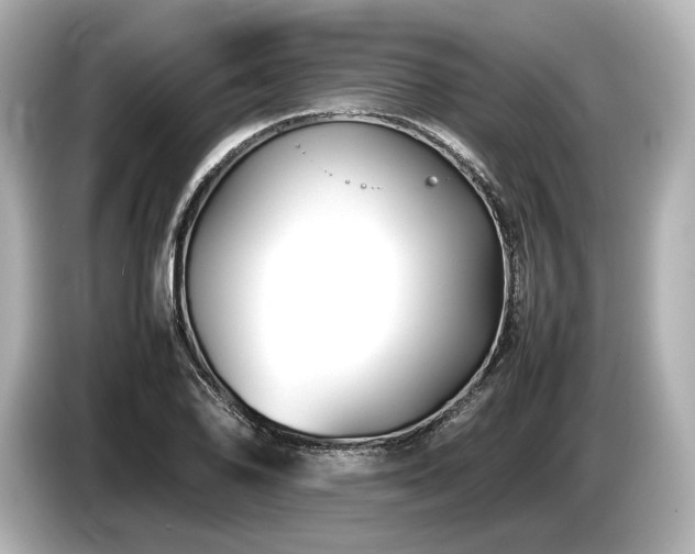 X0000085731078200703161000