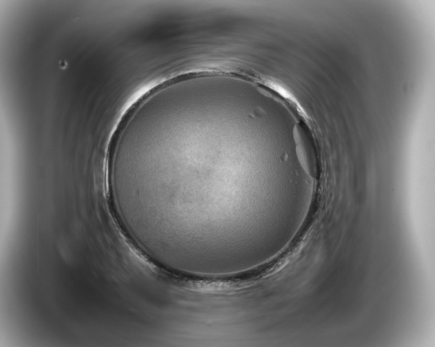 X0000085731079200703161000