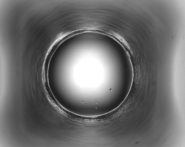 X0000085731080200703161000