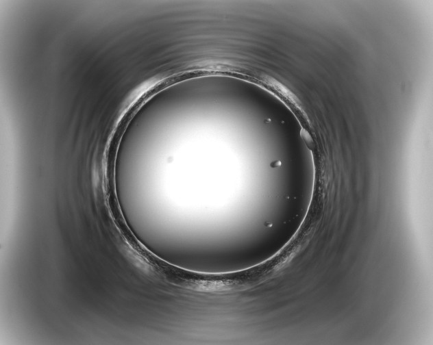 X0000085731082200703161000