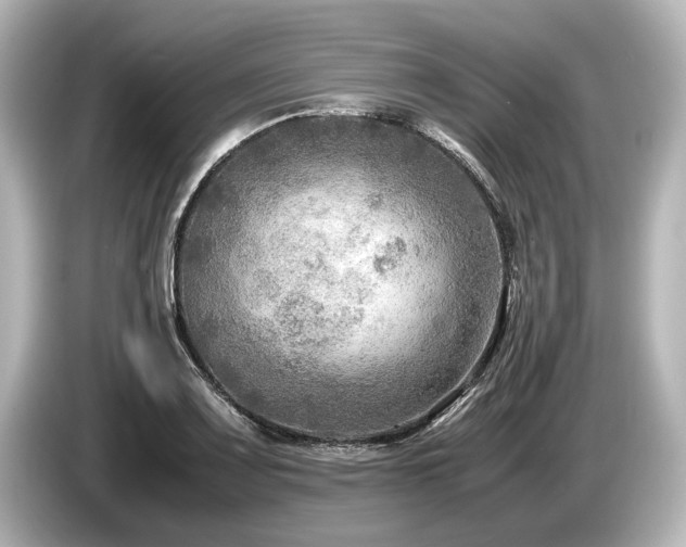 X0000085731083200703161000