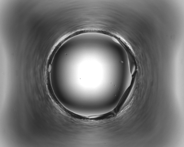 X0000085731085200703161000